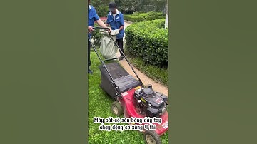 Máy cắt cỏ đẩy tay cắt cỏ sân golf, sân bóng sân vườn chạy động cơ xăng 4 thì  #automobile