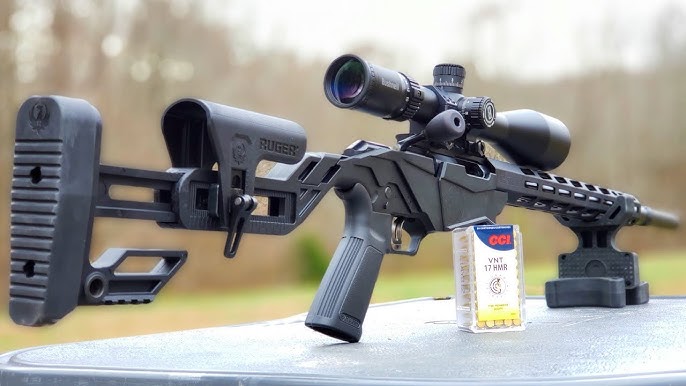 Carabine Ruger Precision Rimfire 22 LR - Ets BERNIZAN