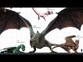 TOP 10 Largest DRAGONS