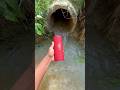 Jbl flip 6 Puliya water throw jumping testing ￼