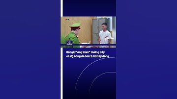 Bắt giữ “ông trùm” đường dây cá độ bóng đá hơn 2.000 tỷ đồng | VTVIndex