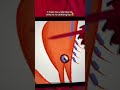 App: Artworkout#art #artworkout #challenge #ipadgame #multiplayer
