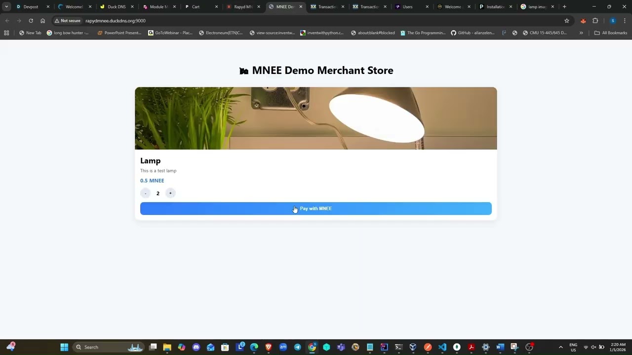 Rapyd MNEE | Devpost