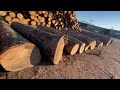 Check out this lumber yard