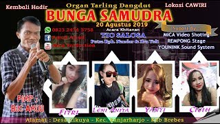 Download Lagu Bunga Samudra 12 2019 MP3 Bunga Samudra 12 2019