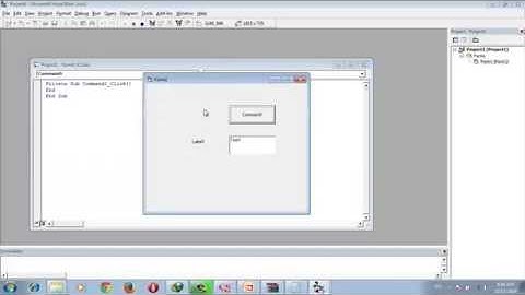 Sec 1_2 Controls Button Text Box and Label