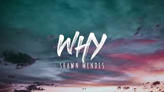 Shawn Mendes - Why (Lyrics)