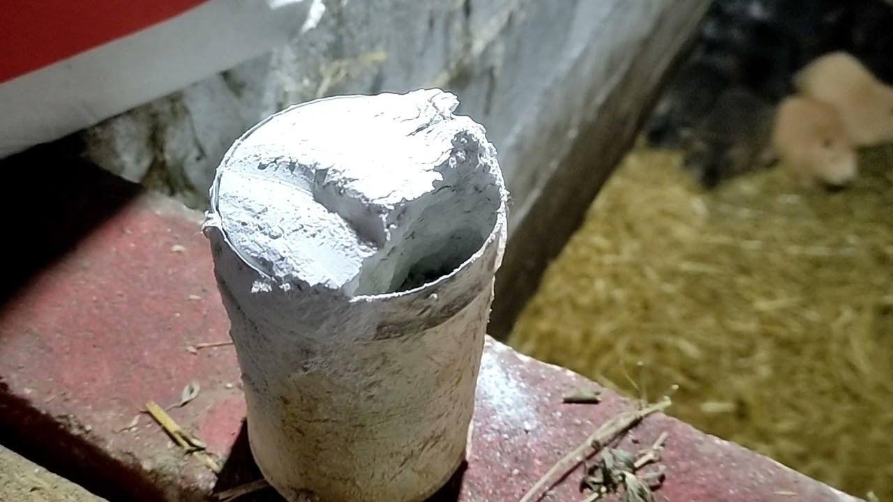 Нутрия, чудо средство от сырости, новая кровь из Италии