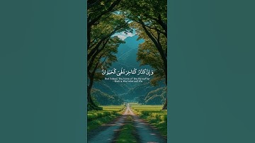 قرآن كريم راحة نفسية 🕊️☁️🌕 #قرآن #اكسبلور #لايك