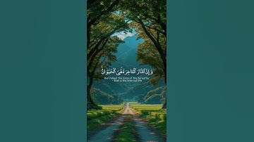 قرآن كريم راحة نفسية 🕊️☁️🌕 #قرآن #اكسبلور #لايك