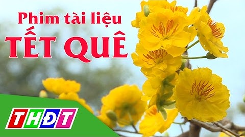 Phim tài liệu Tết quê | THDT