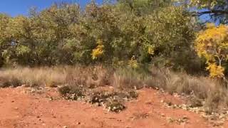Video of Blue Creek Bridge Off Road - Lake Meredith NRA, TX from N I.