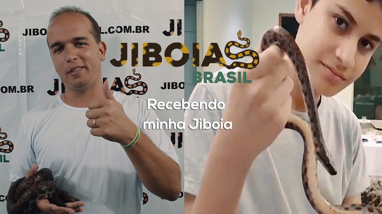 Recebendo minha jiboia