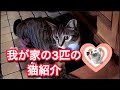 ご迷惑をお掛けしました。お詫び🙇
