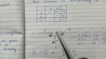 Fitch Margoliash Algorithm
