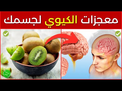 فوائد الكيوي إذا كنت تتناول 3 ثمار كيوي كل يوم فسوف تحدث لجسمك معجزات أذهلت العلماء