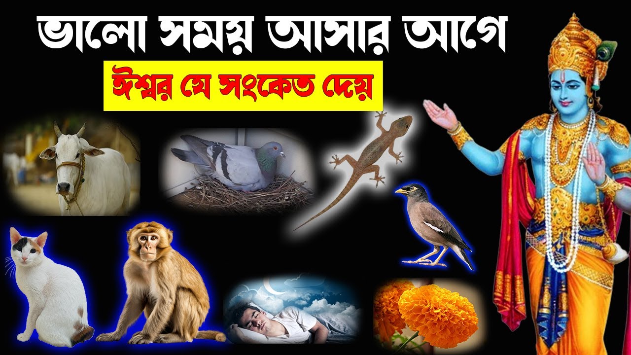 ভালো সময় আসার আগে ঈশ্বর যে সংকেত দেন | Signs of Happiness | Joy Shri Krishna