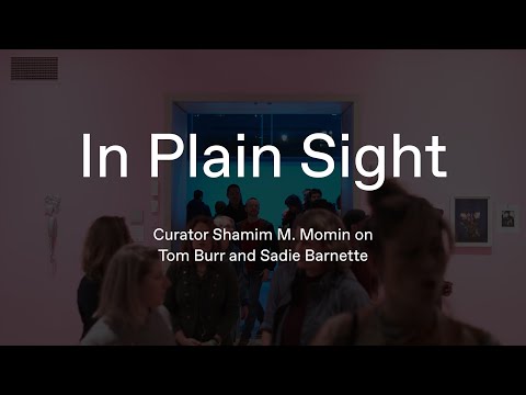 Curator S Voice Shamim M Momin On In Plain Sight Artists Tom Burr And Sadie Barnette