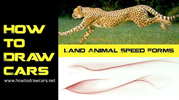 Car Design Drawings - Exploring Forms From Land Animals