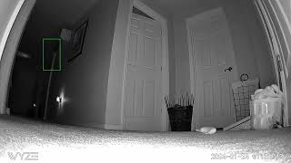 unbelievable orb or angel caught on home camera #wrldparanormal #paranormal #ghost #orbs #haunted