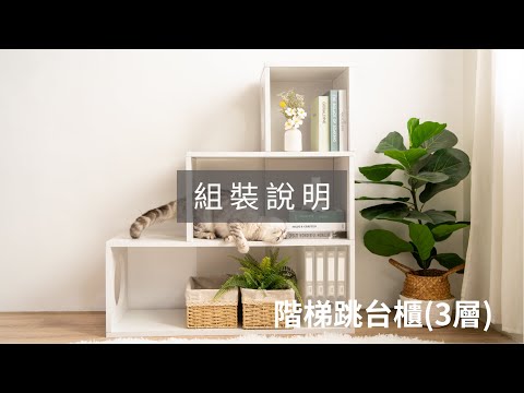 ANGLE WAVE 安閣家 | 階梯跳台櫃(3層)【組裝教學】
