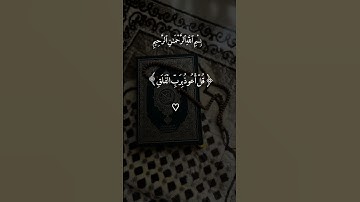 سورة الفلق﴿قُلْ أَعُوذُ بِرَبِّ الْفَلَقِ ﴾۝ مِن شَرِّ مَا خَلَقَ #القرآن_الكريم #viralvideo #quran