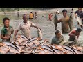 Fishingorganic way of catching fish in pond at