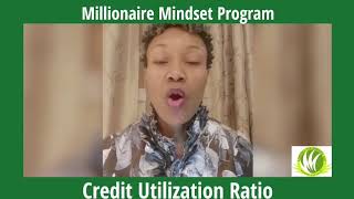 The importance  of the Credit Utilization Ratio