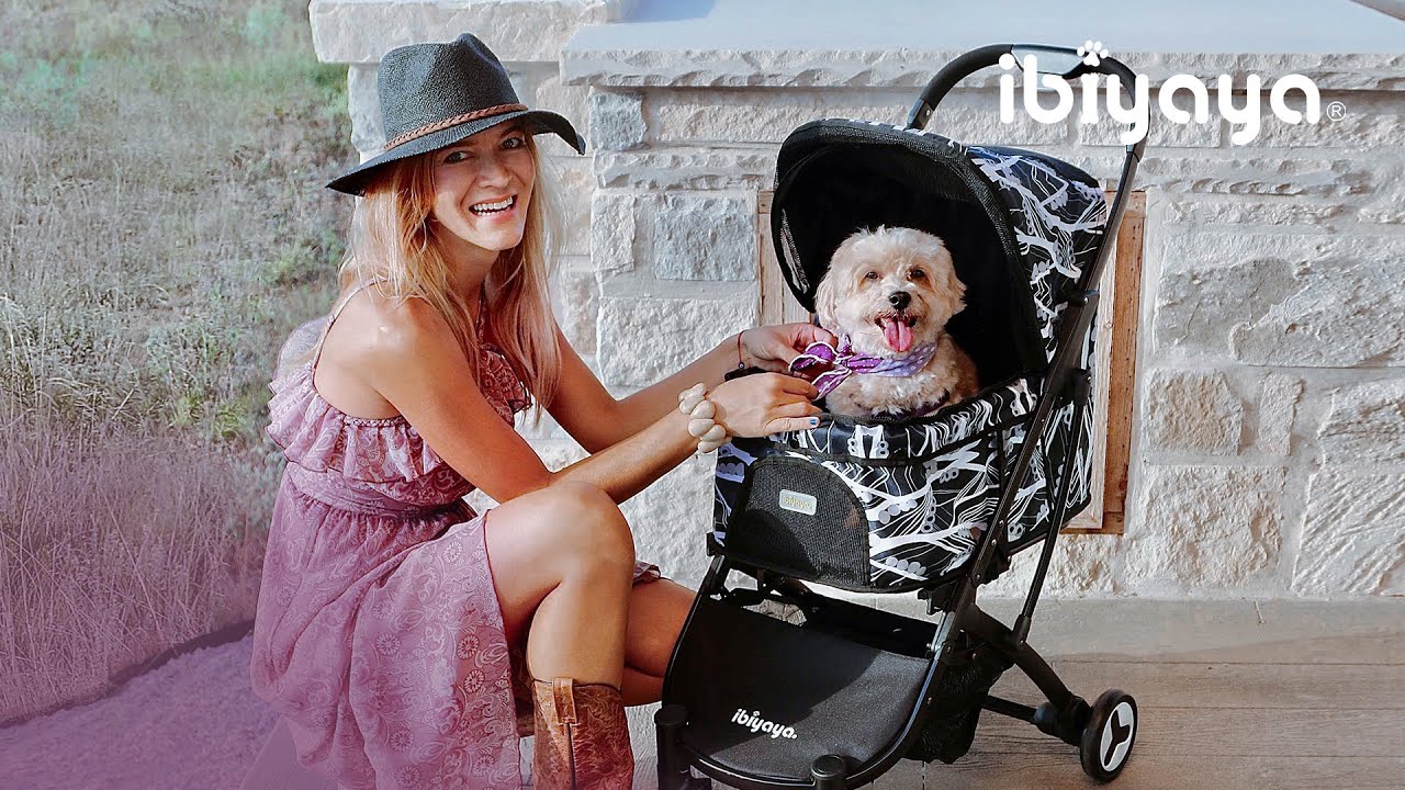 ibiyaya dog stroller