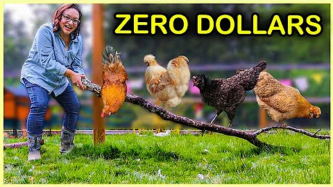 SAVE MONEY with these Fun & Healthy Chicken Ideas!