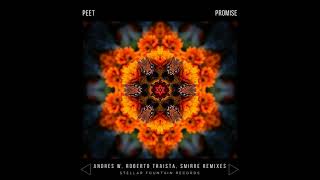 Peet - Promise (Roberto Traista Remix)