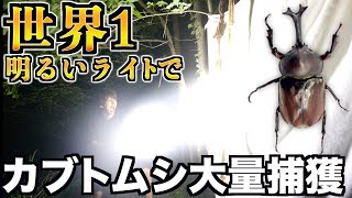 森で世界1明るいライト使ったらカブトムシ大量捕獲できるんじゃね