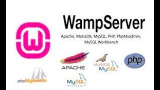 How to connect your website with database using wamp server