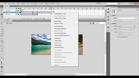 Creating Web Banners using Adobe Flash CS5 - Tutorial-9