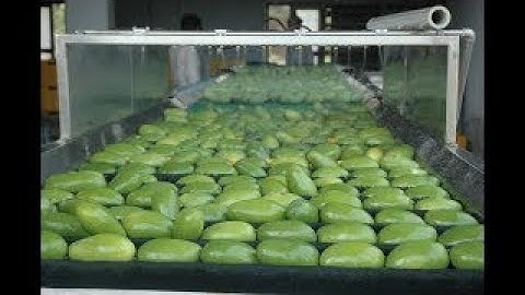 Amazing Fruit Processing Machines Most satisfying food cutting skills video in the World