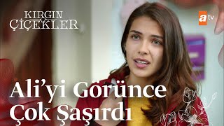 Alinin, Eylülü Görme Bahanesi - Kırgın Çiçekler 97. Bölüm