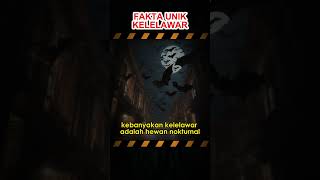 Fakta Unik KELELAWAR #faktamenarik #faktatentanghewan #faktaunik #hewan #kelelawar