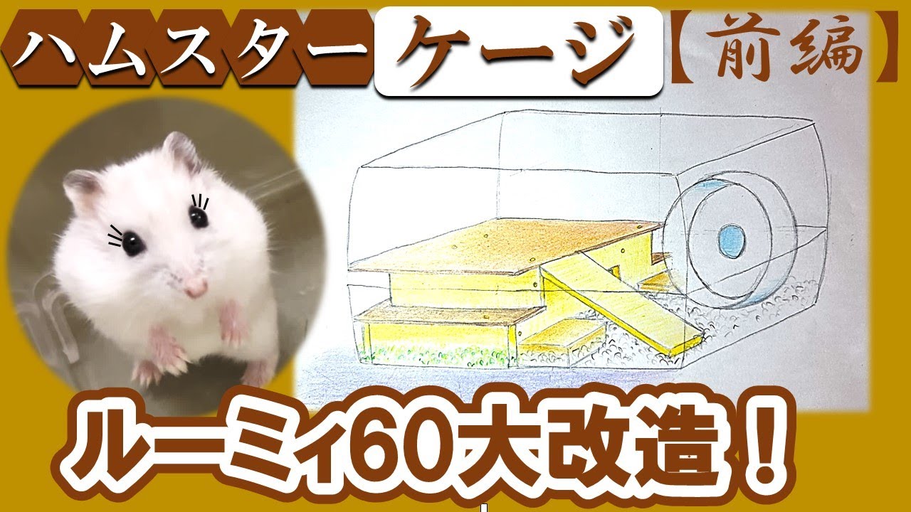 ハムスター大型ケージ♪ ルーミー60(o^^o) ルーミィ60