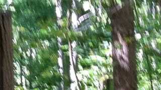 Ufo flying saucer in the woods Salt Fork Ohio