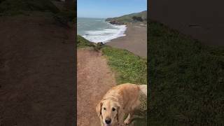 New Friends, Great Views.