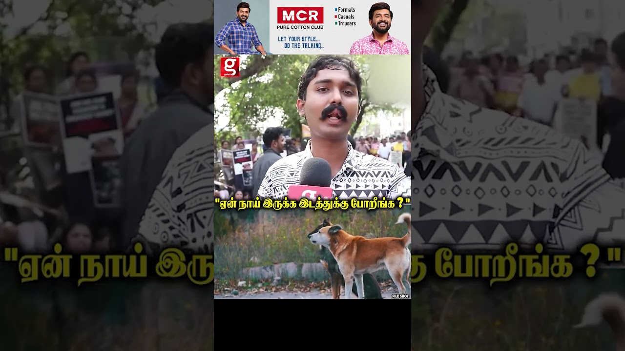நீங்க ஏன் நாய் இருக்க இடத்துக்கு போறீங்க 😡 street dog debate 