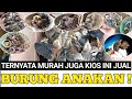 TERNYATA MURAH JUGA ANEKA JENIS BURUNG ANAKAN/LOLOHAN DI KIOS INI ! PANTES TENGKULAK BEREBUT !