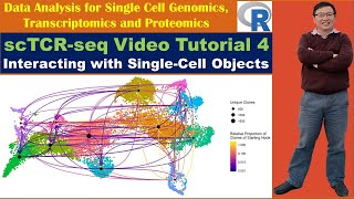 Celebrity scTCR-seq Video Tutorial 4 : Interacting with Single Cell Objects Wealth