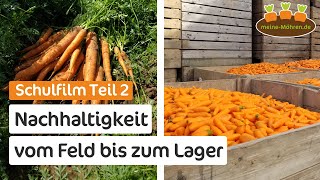 Schulfilm Teil 2: Möhren - Superfood für eine nachhaltige Zukunft | Vom Feld bis zum Lager