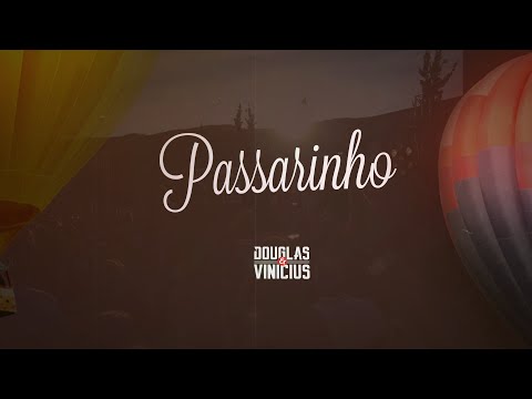 Douglas e Vinicius - Passarinho