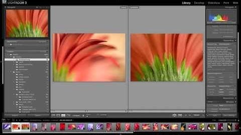 Easy Keywording for Photographers