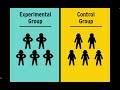 Unraveling Nature's Mysteries Through the Scientific Method