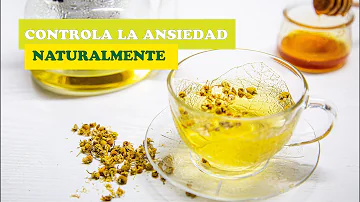 ¿Cuál es el mejor té para la ansiedad y el estrés?