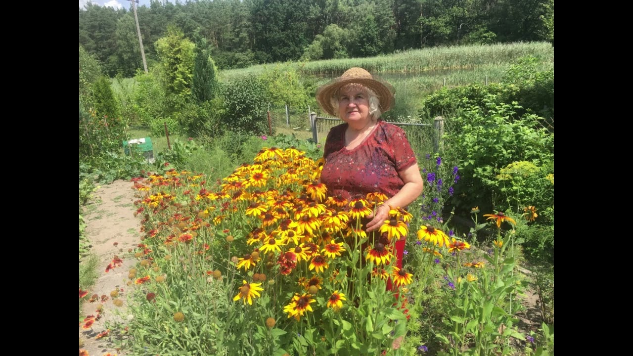 Zenona Radzka - Senioriada Białotarsk 20191117 cz. 2