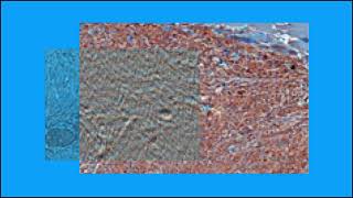 9283C57FC3F7709B92B57301566B12#1